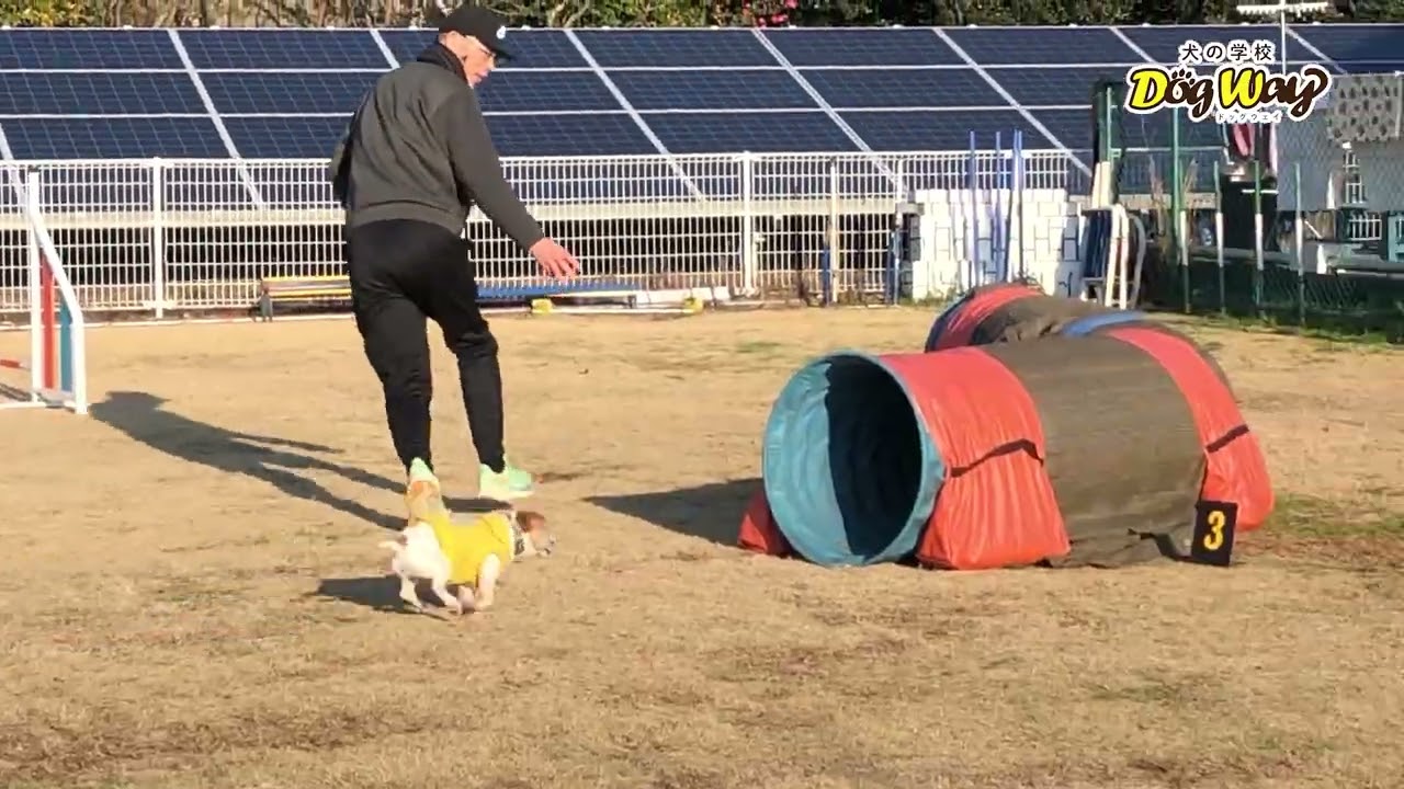 ジョナサンのアジリティー　2025年12月28日