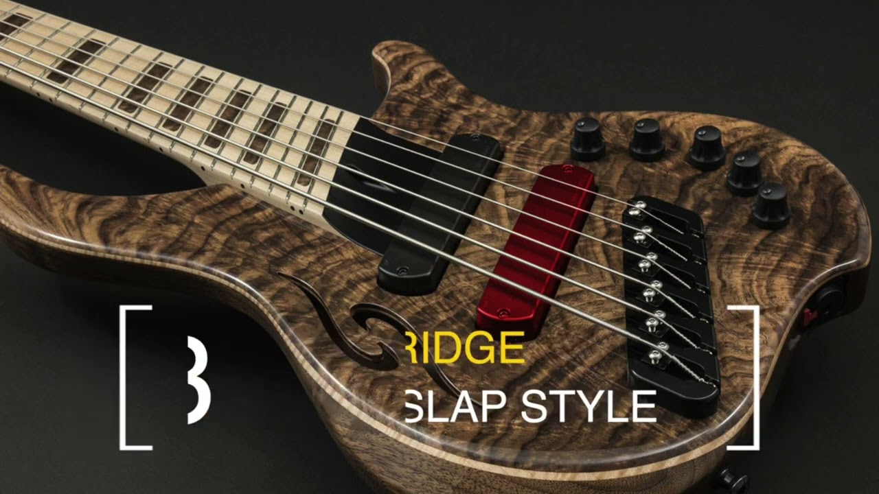 Dingwall Pickup Comparison Side by Side