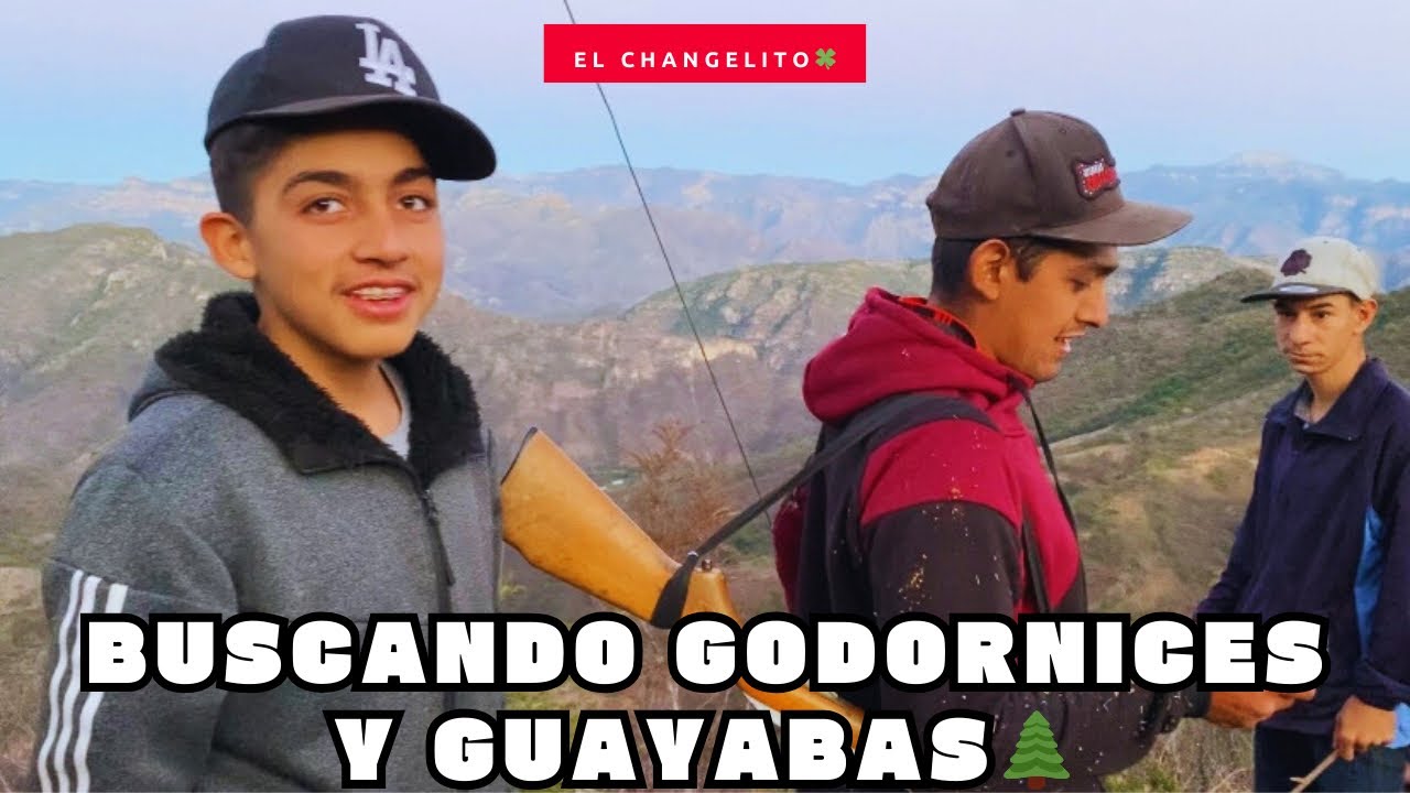 BUSCANDO GODORNICES Y GUAYABAS EN LA SIERRA🌲