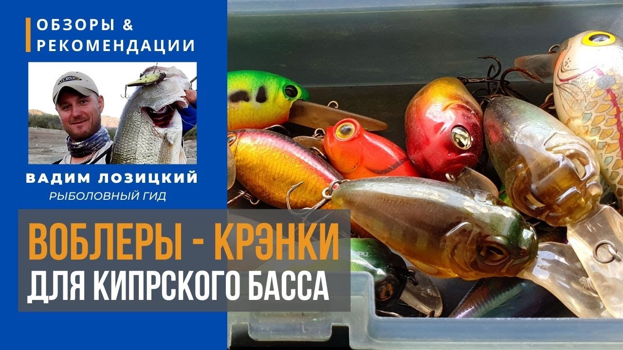 💯 Воблеры-крэнки (cranks) для ловли басса. 💥 Рыбалка на Кипре 🇨🇾 Советы и рекомендации