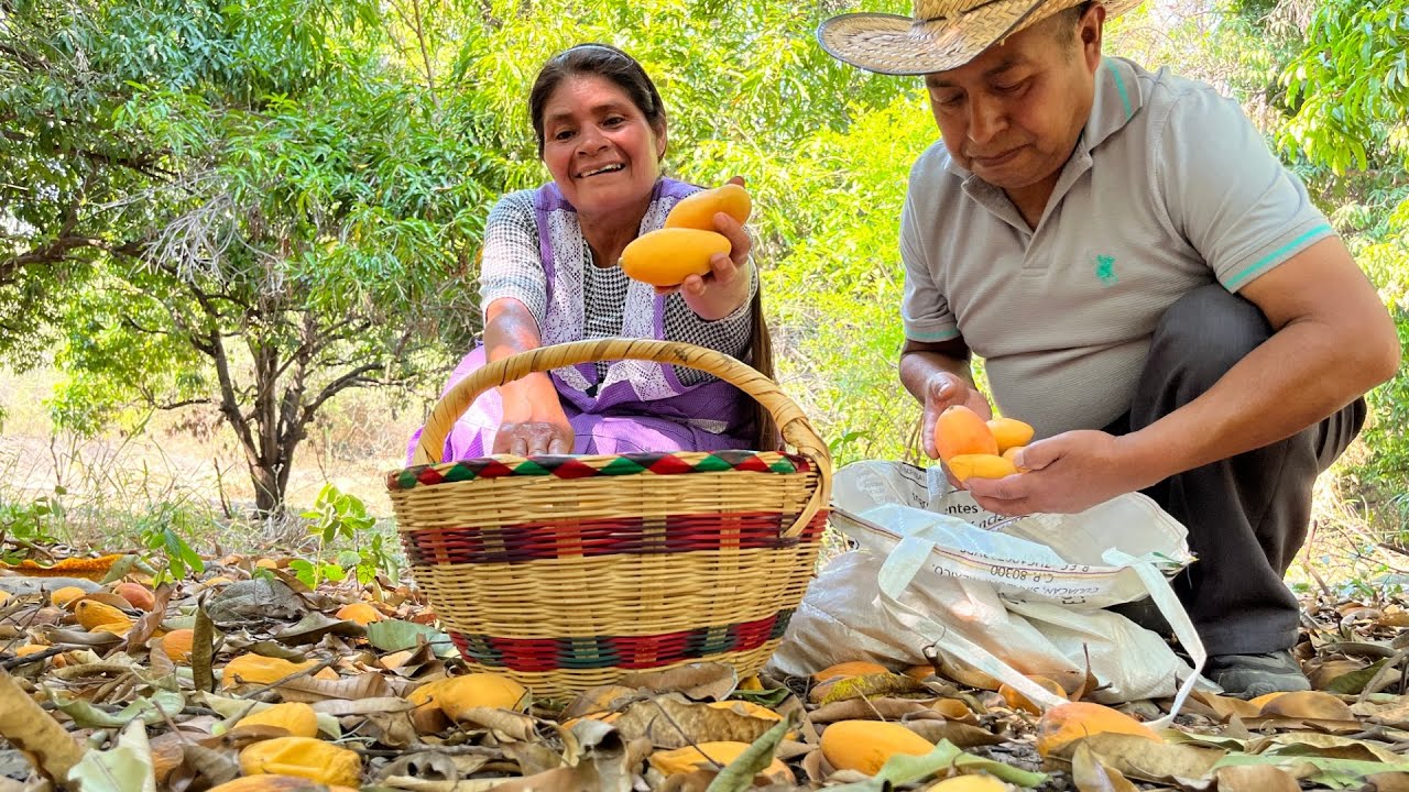 Vamos a recolectar mangos 🥭 con mi esposo Nico; recordando tiempos difíciles en el ranchito