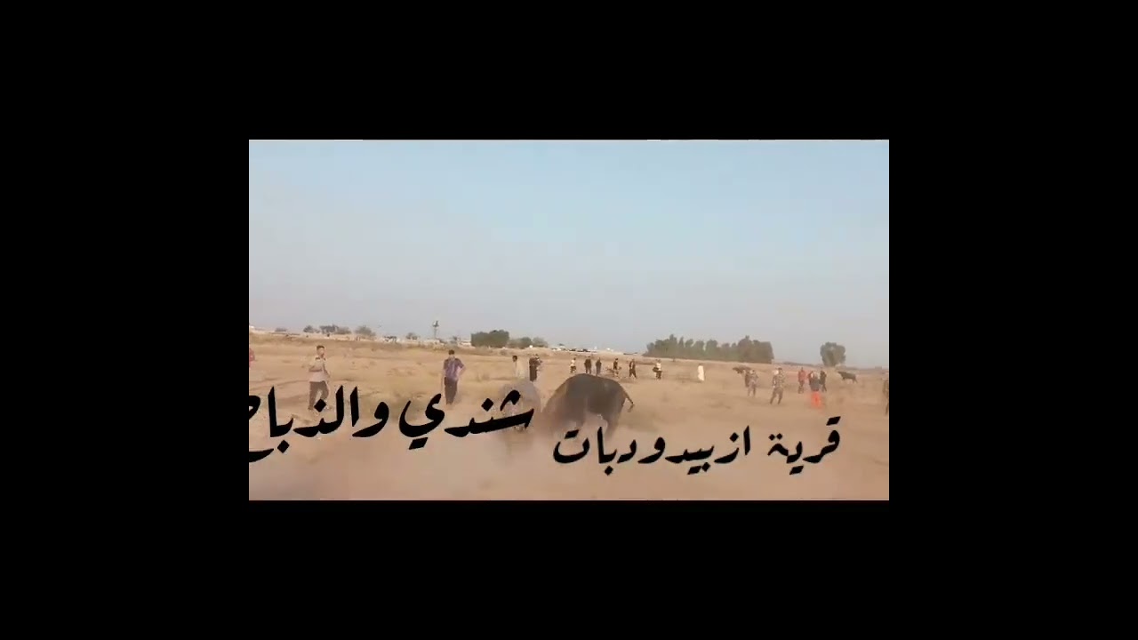 عرک افحوله الهوازشندی والذباح قریة ازبید ودبات المیناو وینکم عشاگ الدواب