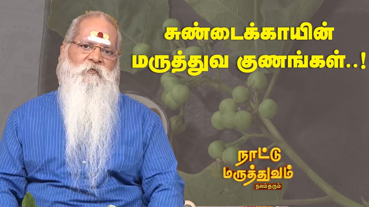 சுண்டைக்காயின் மருத்துவ குணங்கள்..! | Nattu Maruthuvam | Sun Life