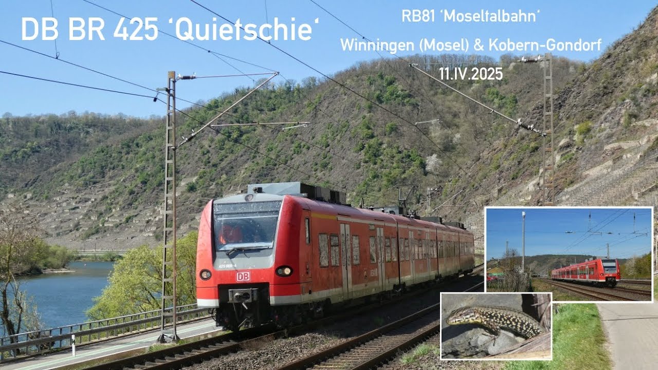 DB BR 425 'Quietschie' auf der Moseltalbahn (RB81), Winningen (Mosel) & Kobern-Gondorf, 11.IV.2025