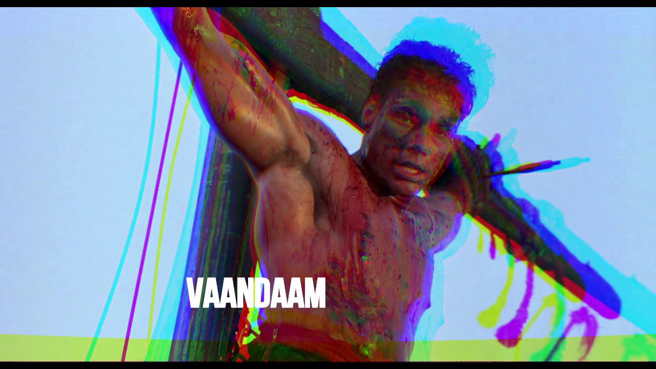 Waandaam - Vaandaam ( polish trashcore / hatecore 2020 )