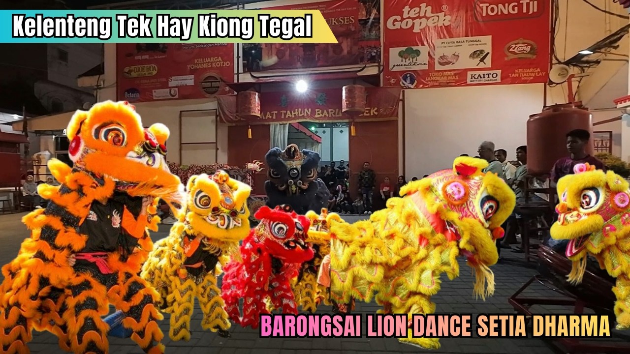 AKSI GOKIL! Barongsai Setia Dharma Tegal 'Terbang' di Kelenteng Tek Hay Kiong - Cap Go Meh 2026 🦁🔥