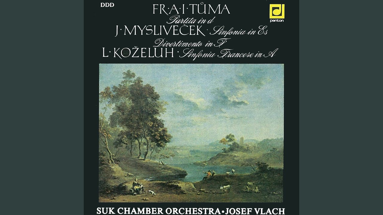 Partita for Orchestra in D minor