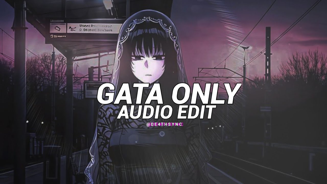 Gata only (dsvcr remix/extended vers.) - floyymenor [edit audio]