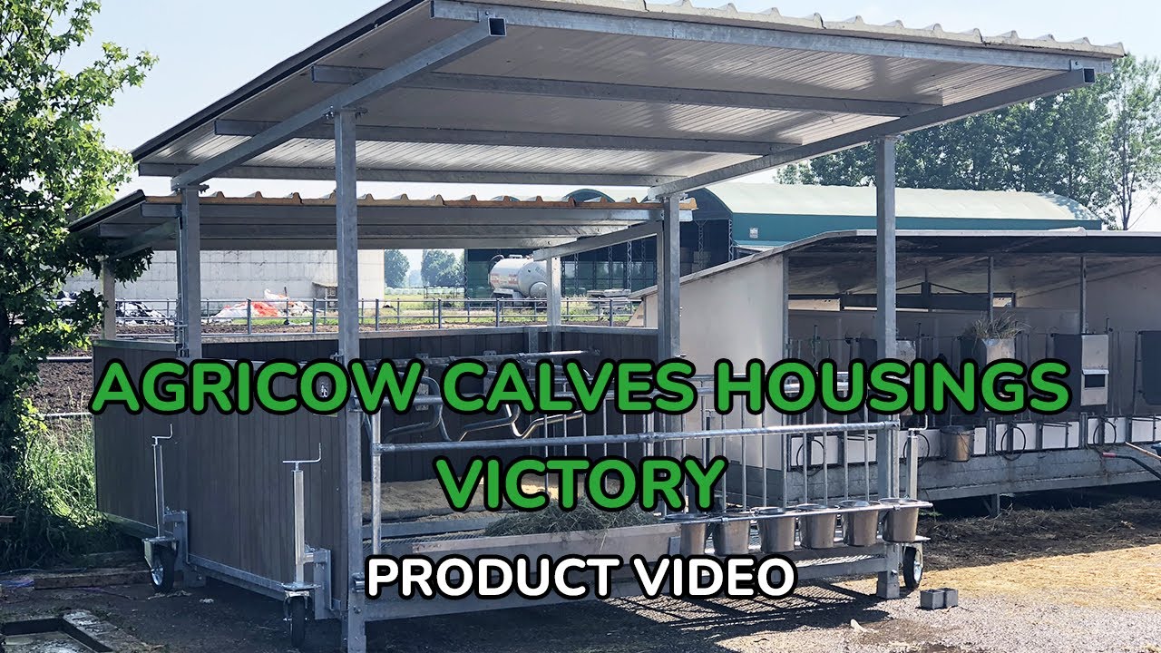 CALVES HOUSINGS VICTORY BY AGRICOW - Product video