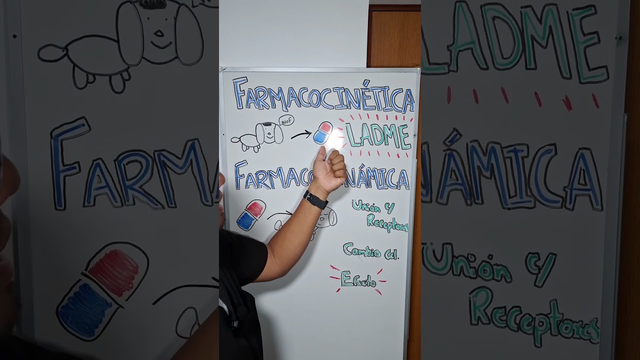 DIFERENCIA entre F&Aacute;RMACOCIN&Egrave;TICA y FARMACODIN&Aacute;MICA 🤔💊#bajavets #farmacocinetica #farmacodinamia #med