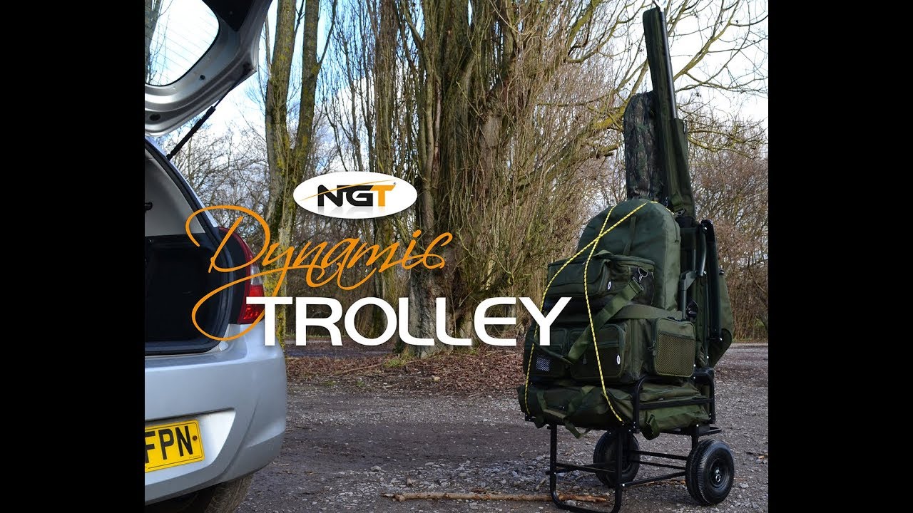 Dynamic Trolley Video
