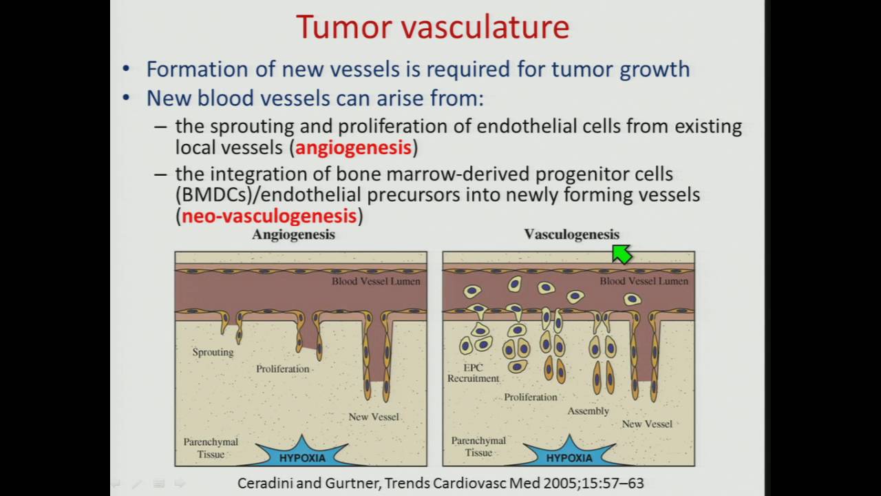 SRS/SBRT - Introduction to the Radiation Biology of Hypofractionation - By  Brian Marples, Ph.D