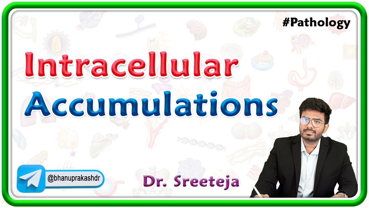 7. Intracellular Accumulations : Pathology USMLE Step 1
