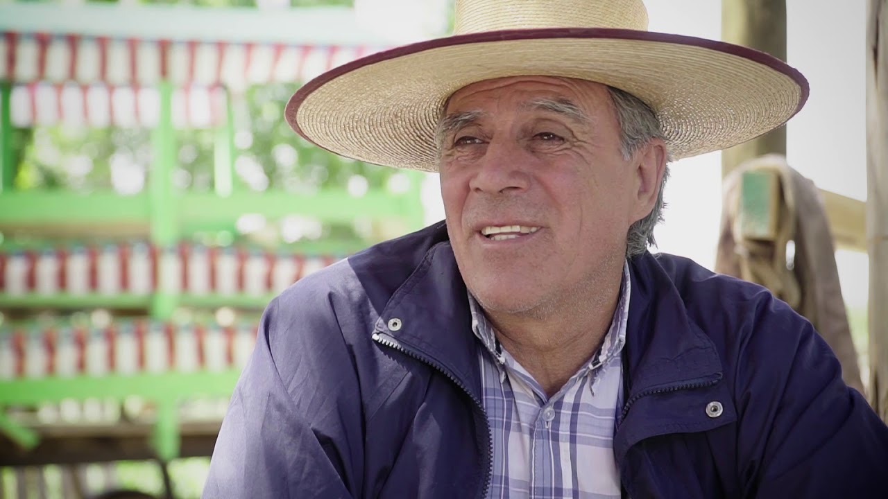 Trazando la Historia Documental de Peralillo