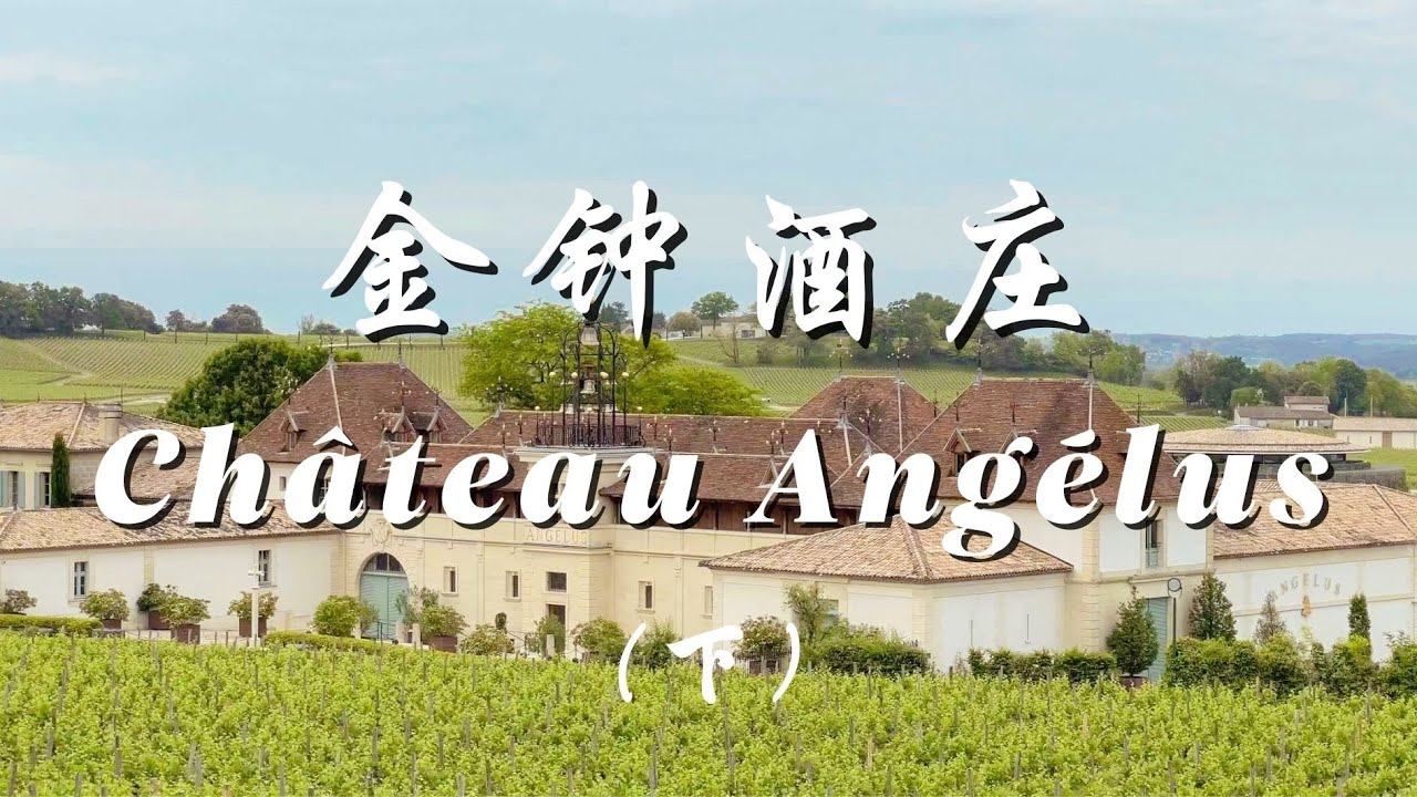 【跟着老曹游名庄之金钟酒庄 Château Angélus】（下）
