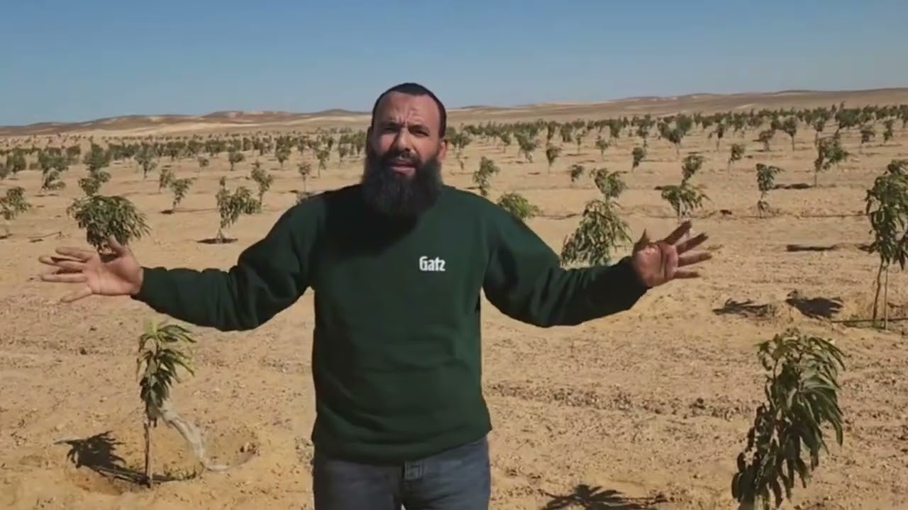 أهم خمس نصائح👌 لشراء ارض زراعية في الصحراء والاستثمار في الزراعة💸🌳