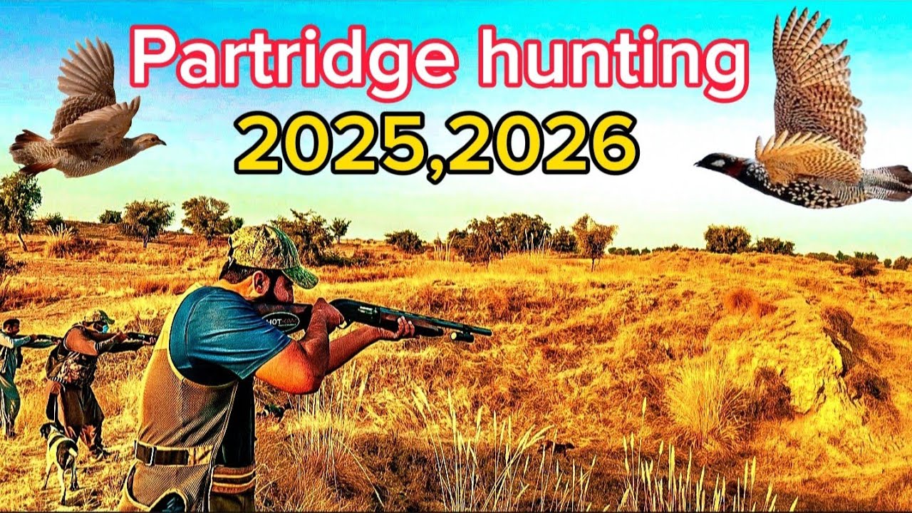 New season begins Partridge hunting 2025,2026 by waqaas khan chadhar 