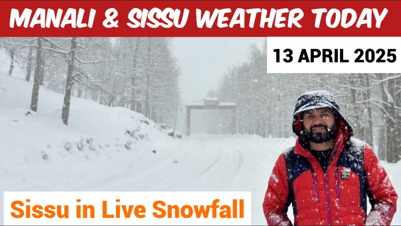 Manali & Sissu Weather Today I Sissu after Live Snowfall
