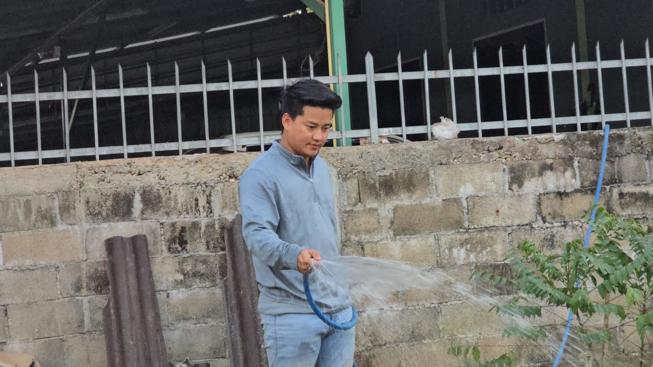 Long Kajsiab cog paj    12 ກຸມພາ 2026