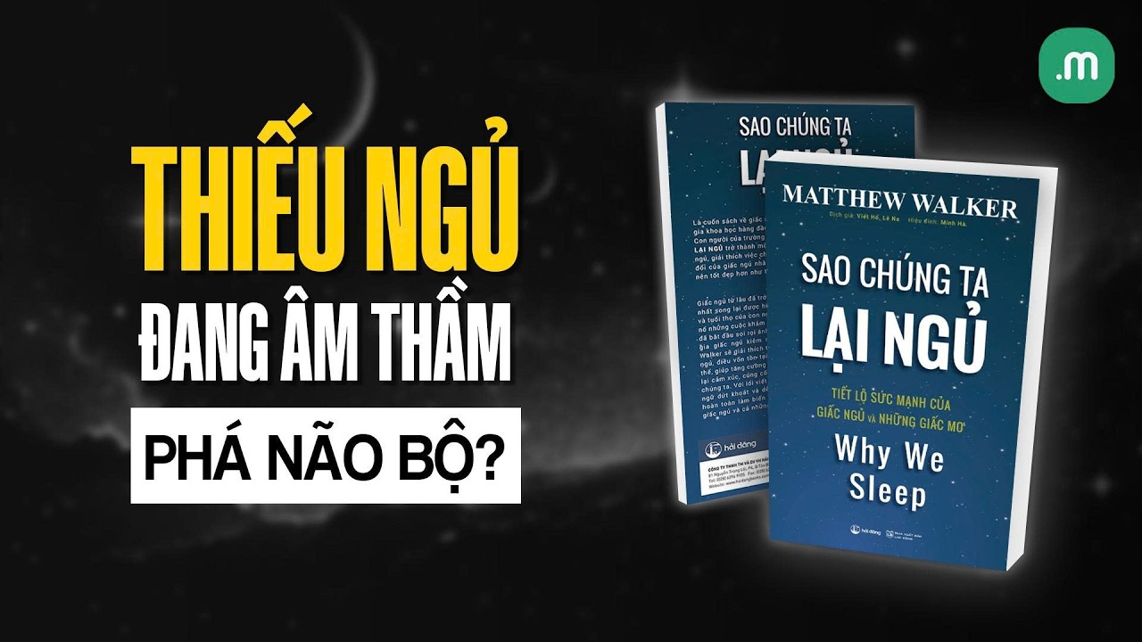 Tại sao chúng ta lại ngủ? - Thiếu Ngủ Đang Âm Thầm Phá Não Bộ Như Thế Nào?| the Meal