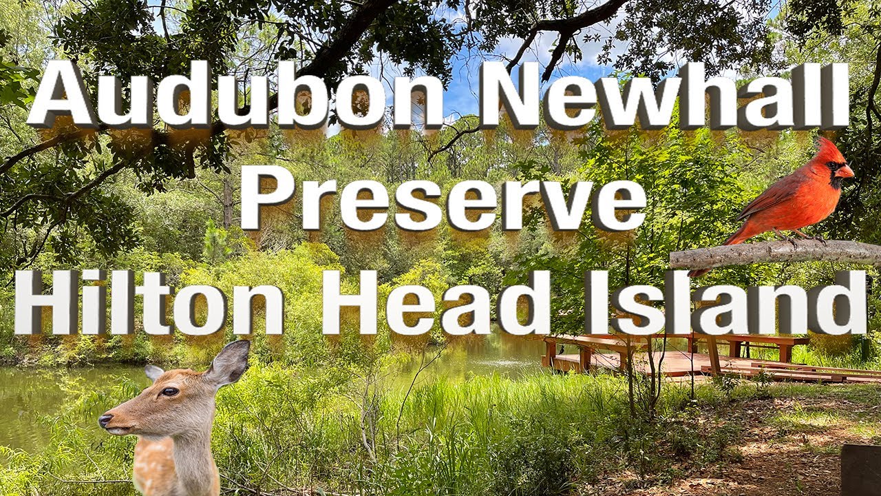 Audubon Newhall Preserve on Hilton Head Island