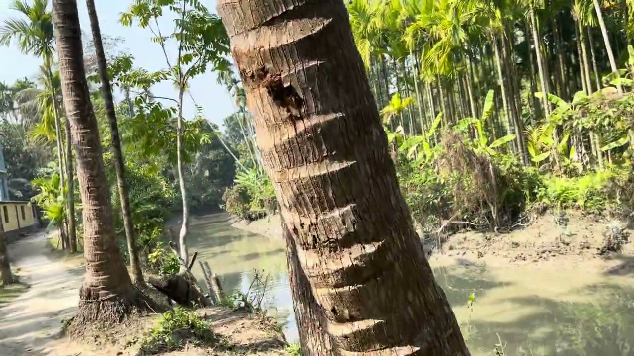 @shohagsrabon1577   আসসালামু আলাইকুম 