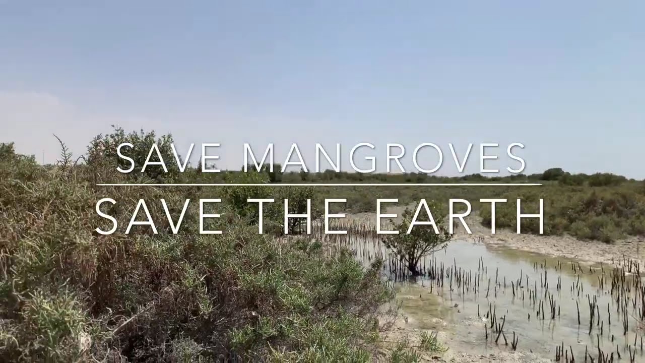 AL ZOWAIR , Umm Al Quawain-CAMPING IN UAE-CAMPING SPOTS IN UAE-UMM AL QUAWAIN MANGROVE BEACH