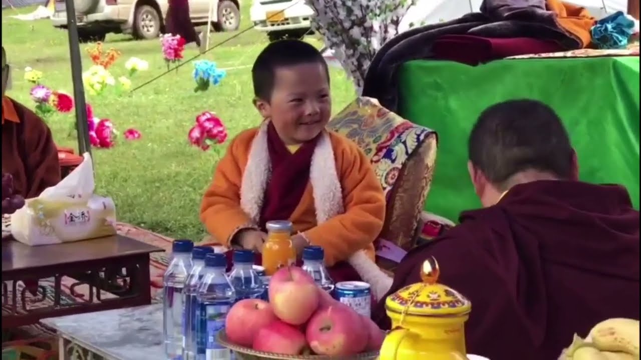 His Holiness Penor Rinpoche’s Yangsi