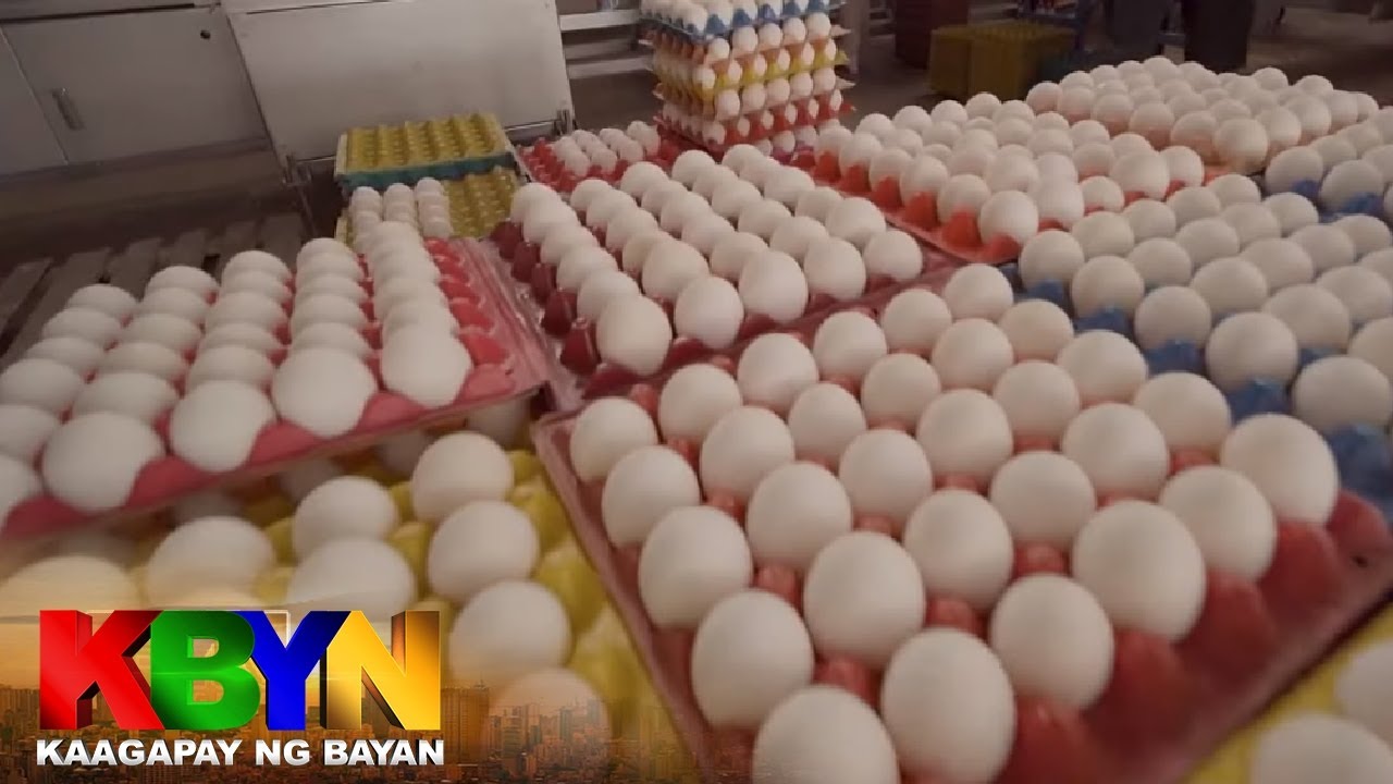 KBYN: Kilalanin ang pinakamatanda at unang magmamanok sa San Jose, Batangas