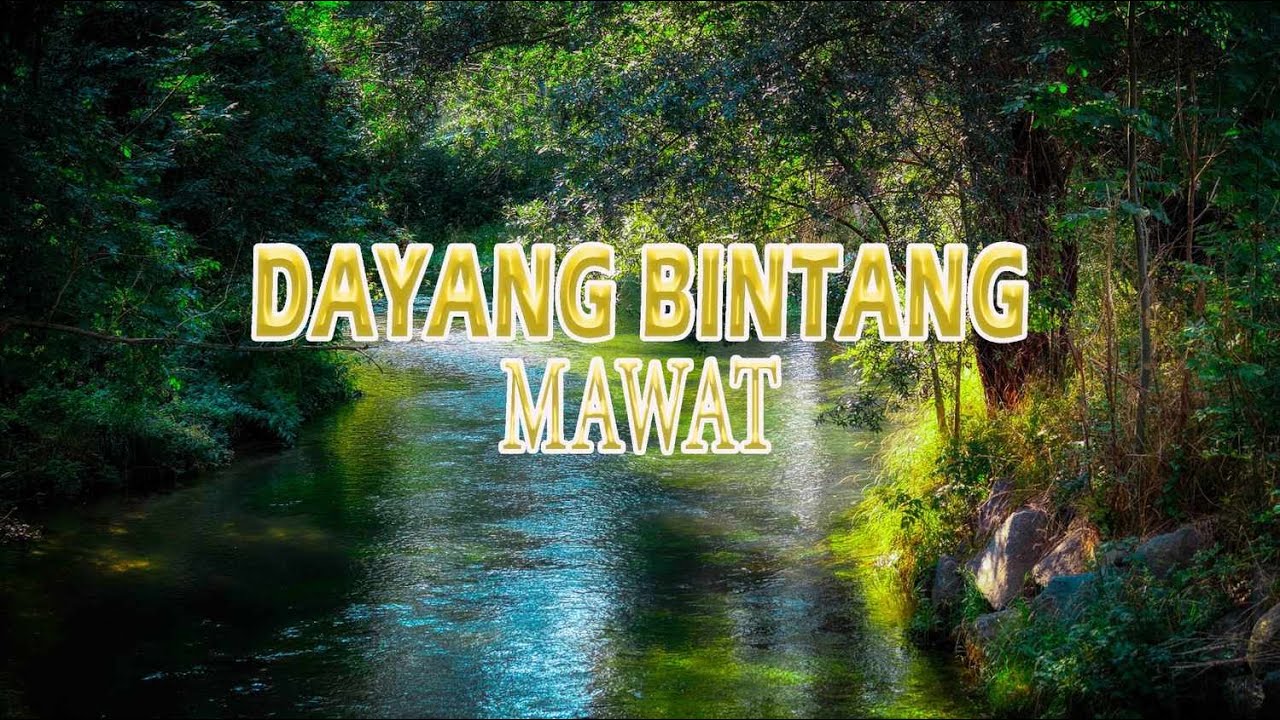 DAYANG BINTANG - MAWAT (LIRIK VIDEO)