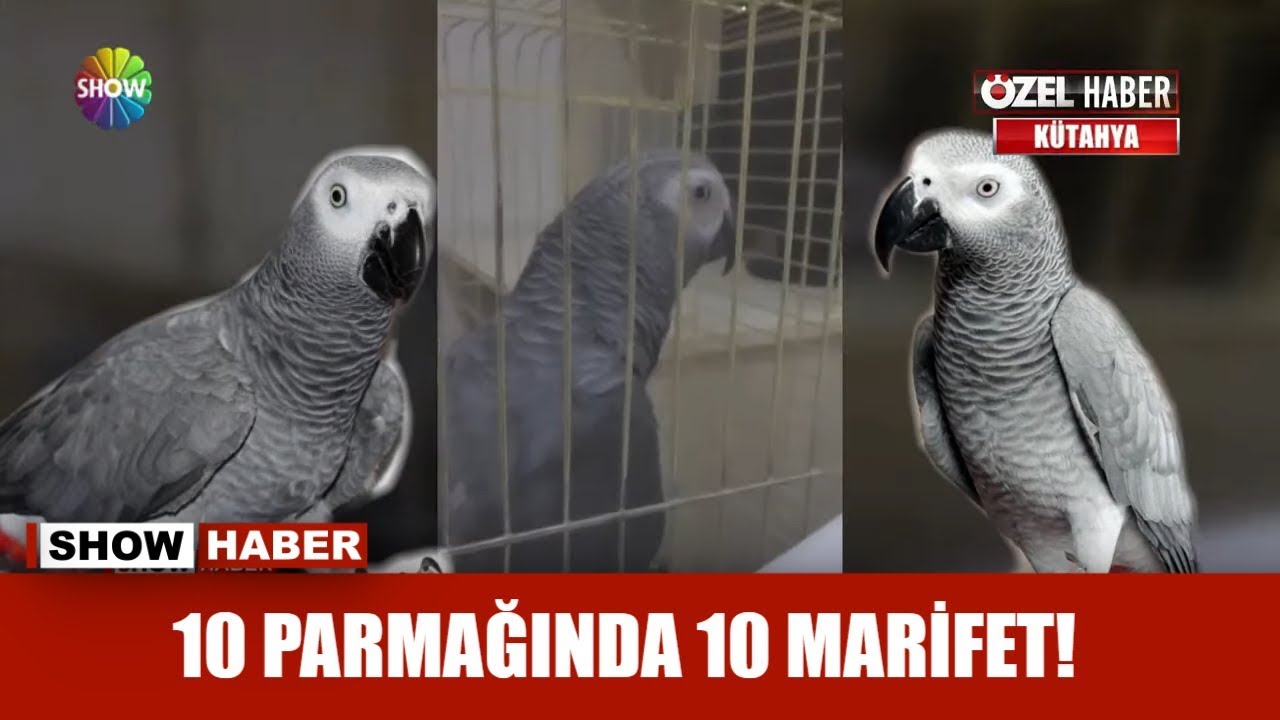 10 parmağında 10 marifet!