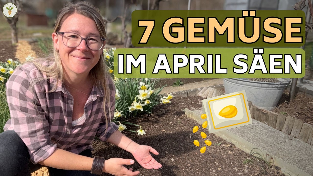 Gem&uuml;se im April s&auml;en: Diese 7 Sorten gelingen jetzt garantiert (inkl. Tipps bei K&auml;lte)