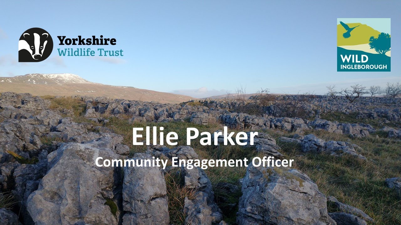 Wild Ingleborough, the aim and vision