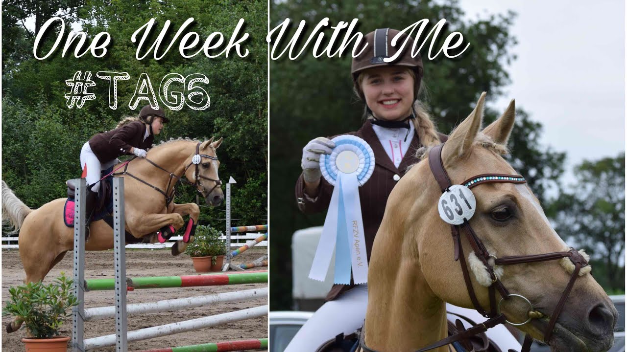 Turnier Apen/3.Platz im Springen