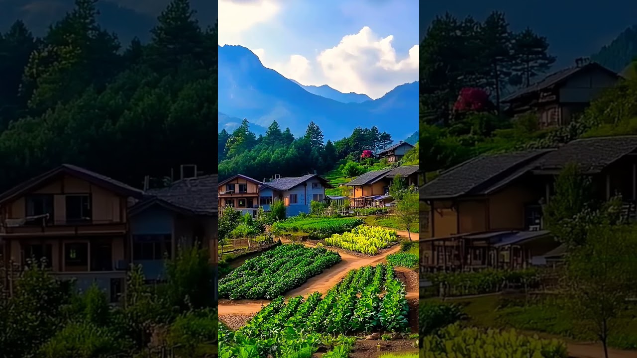 #治愈系风景 #乡愁记忆 #记录美丽的乡村风景 #风景 #youdontwanttomissout