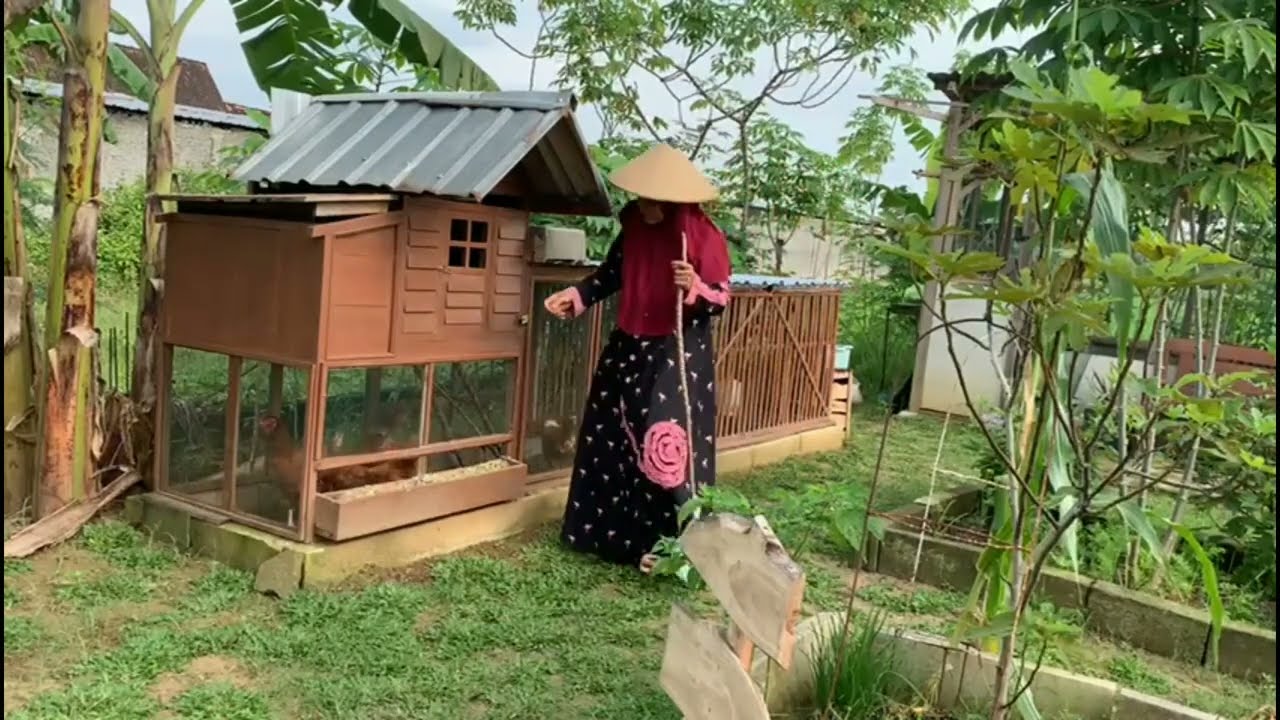 Dengan cara berkebun di rumah hasilnya bisa di nikmati keluarga setiap harinya 