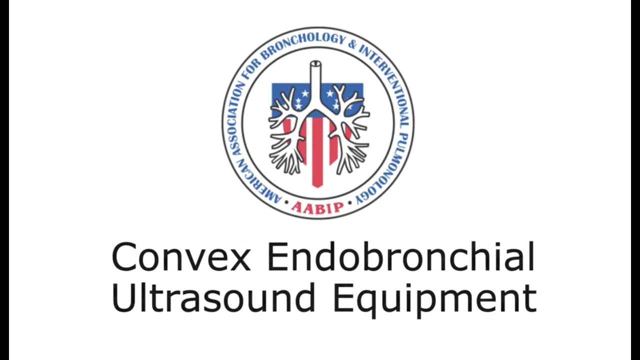 EBUS Bronchoscope Assembly and Processors