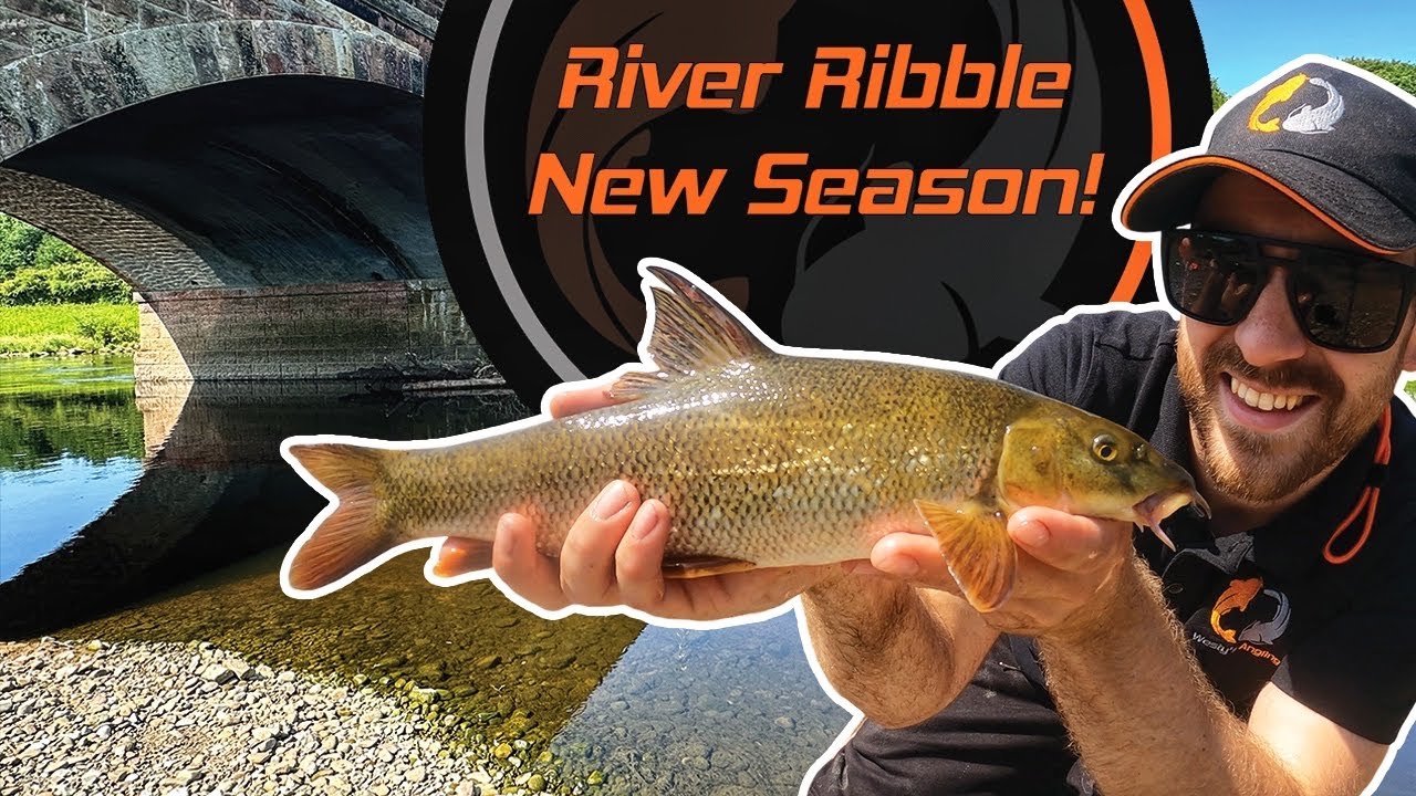River Ribble | First Feeder Session Of The NEW Season