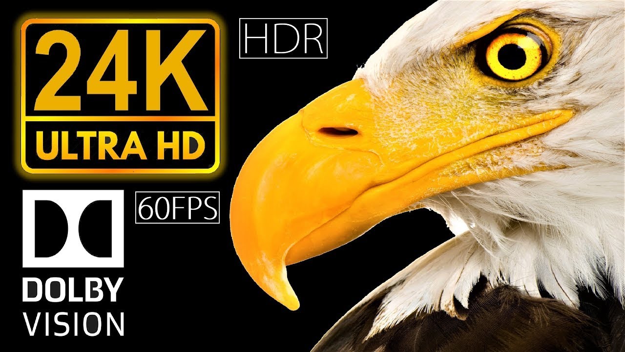 Discover the Hidden Power of Dolby Vision | 24K UHDR 60FPS