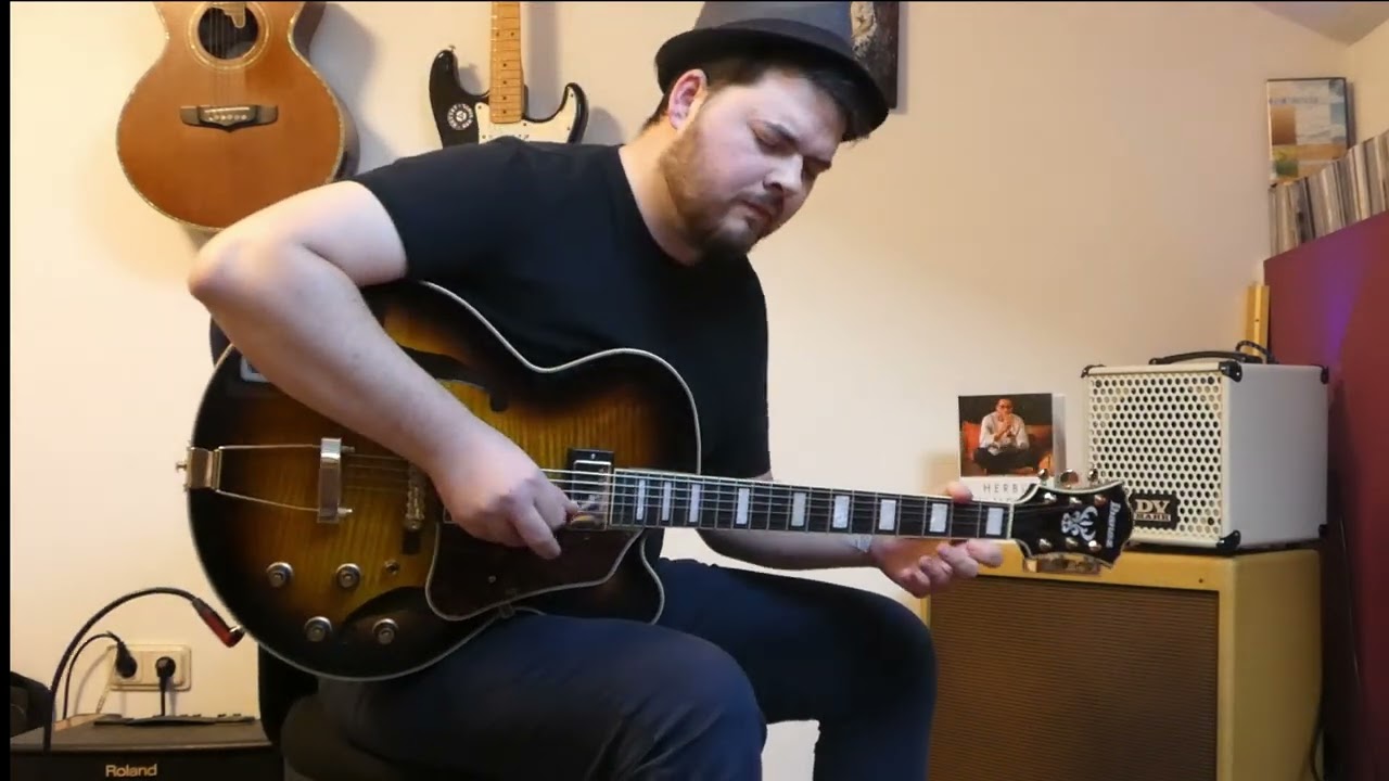 I love the Sound from the Ibanez Guitar AF95FM, Smooth, lovely Sound, DV Mark Little Jazz