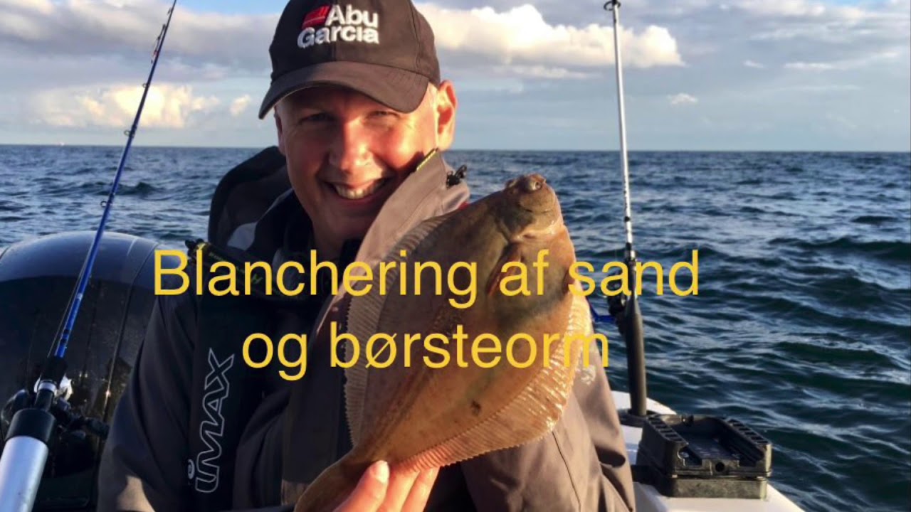 Blanchering af sand og børsteorm