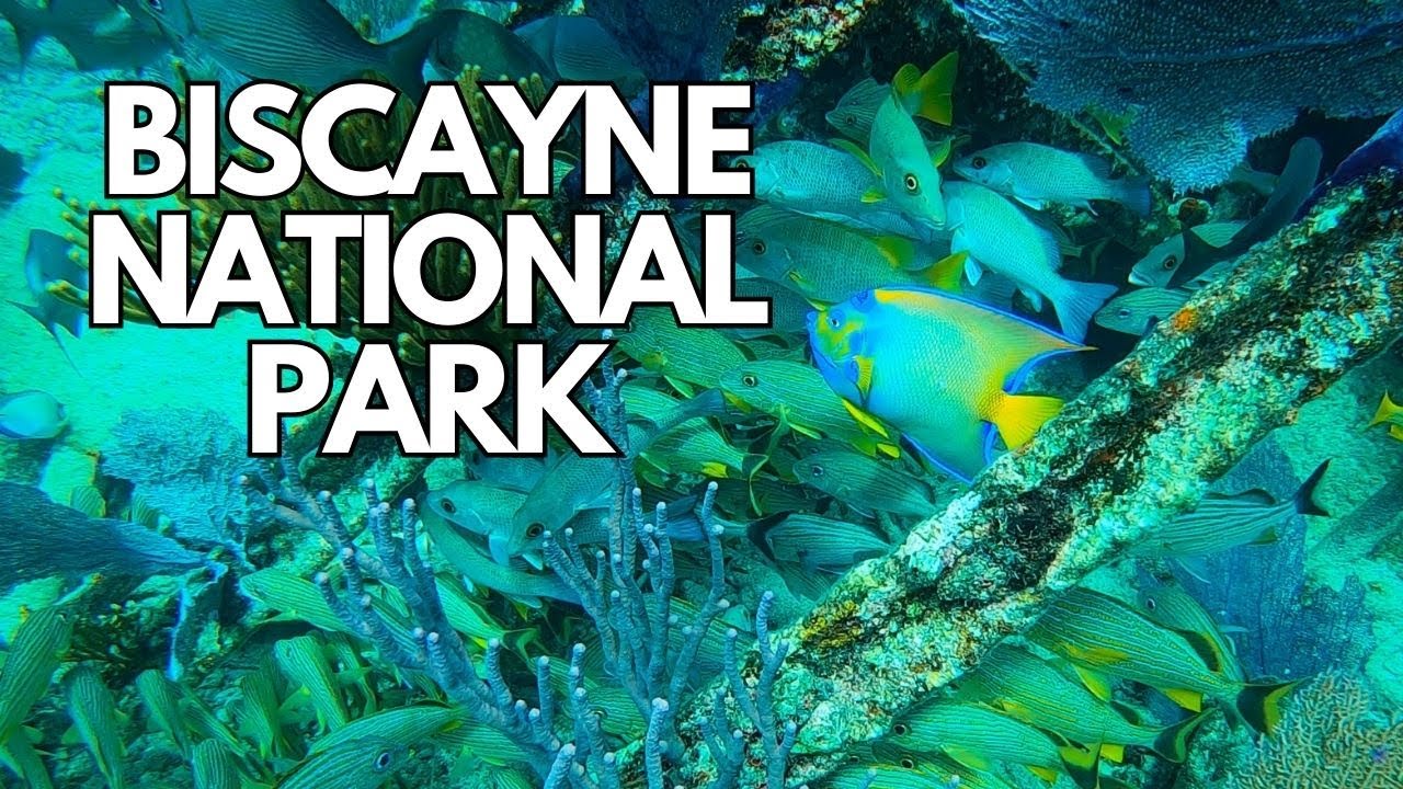 Explore The Underwater World Of Biscayne National Park Through Snorkeling | Mandalay Ship Wreck