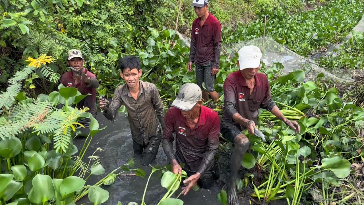 Về Đồng Tháp chuyến này săn bắt phải nói là trúng mánh bể bong bóng luôn VXĐ # 665