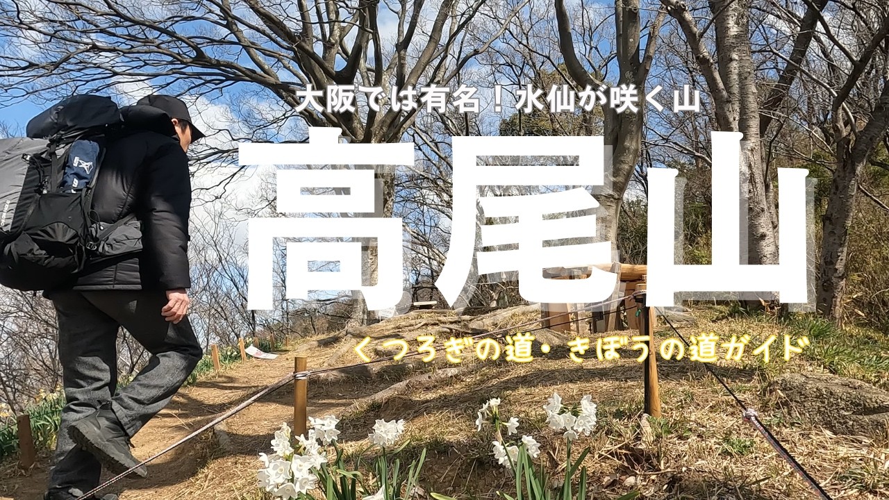 【高尾山　登山】大阪府柏原市｜かしわら水仙郷｜くつろぎの道｜きぼうの道｜初心者登山｜大阪登山