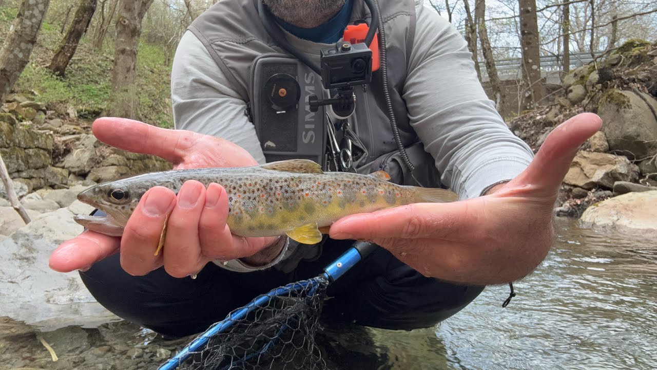 Pesca Trota Torrente in Appennino - Aprile 2026: trote selvatiche e finale con sorpresa