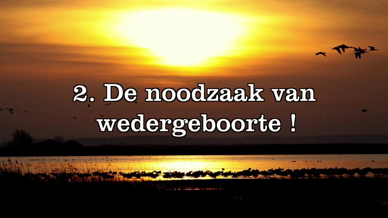 Le Vab : Een wedergeboren mens