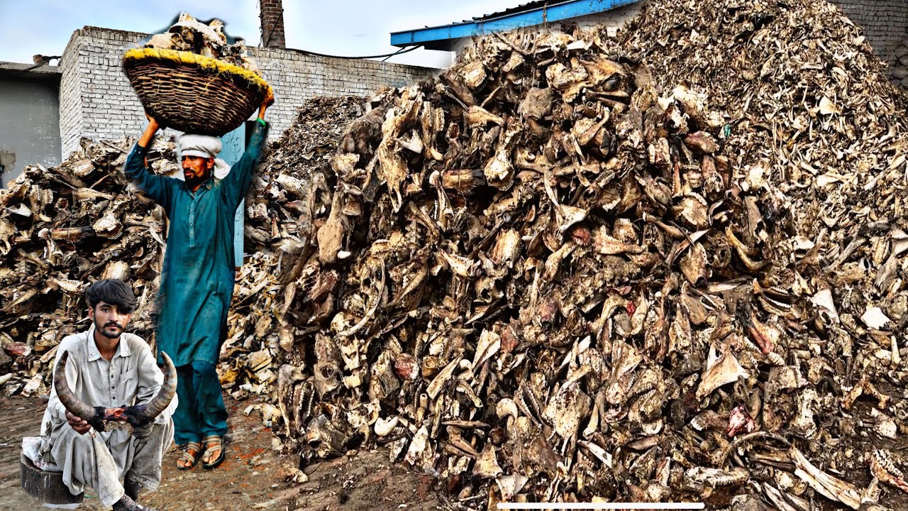 Incredible! Process of Million's Waste Animals Bones Recycling And Manufacturing Stunning Buttons.