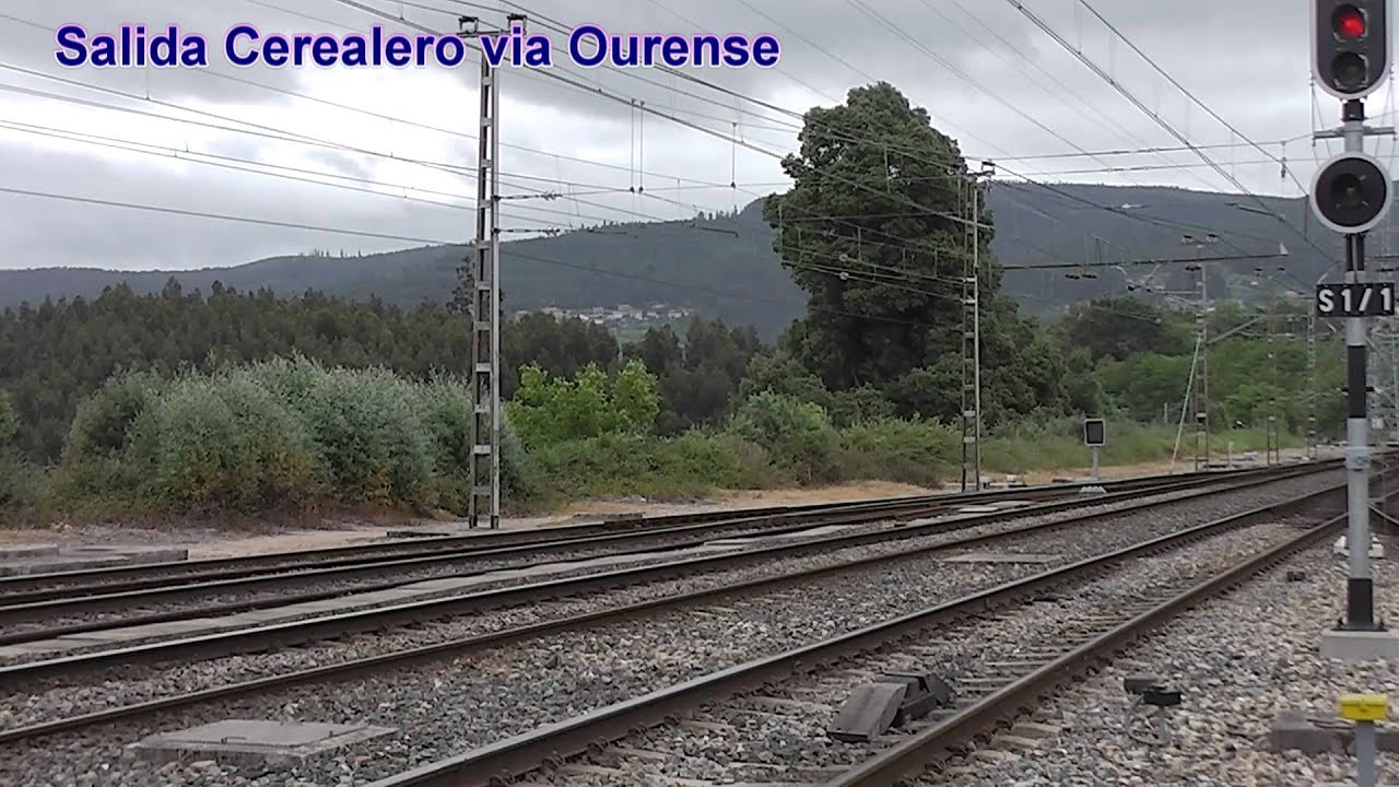 TRENES EN LA ESTACION DE REDONDELA