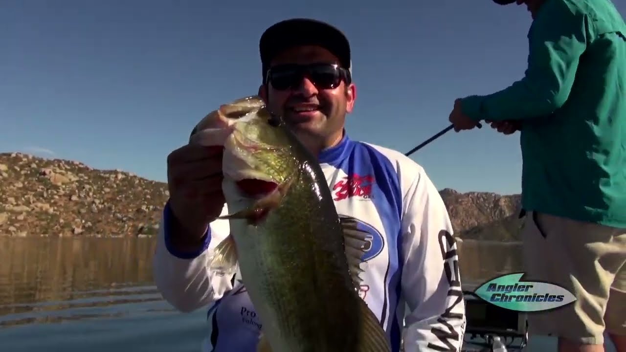 Owner Hooks 