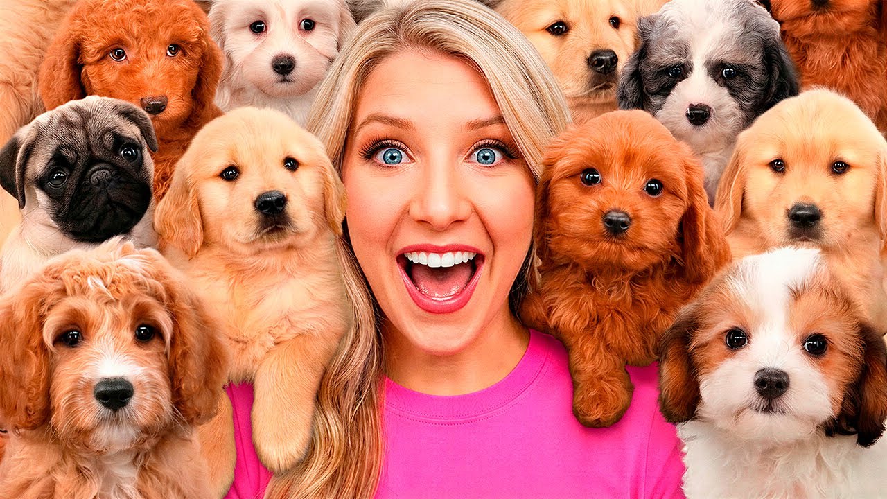 EVERY PET WE ADOPTED IN ONE VIDEO | Brianna